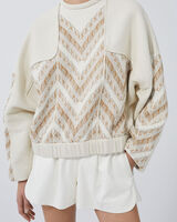 ALISSE image number null
